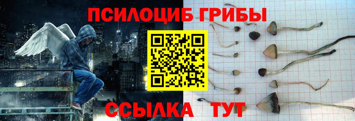 Галлюциногенные грибы мухоморы Гусиноозёрск