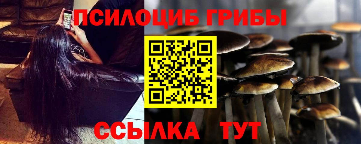 Псилоцибиновые грибы мицелий  Галлюциногенные грибы GOLDEN TEACHER  Гусиноозёрск  Вход с VPN 